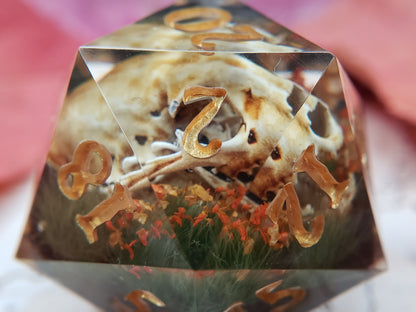 The Teeth of Autumn | Jumbo D20