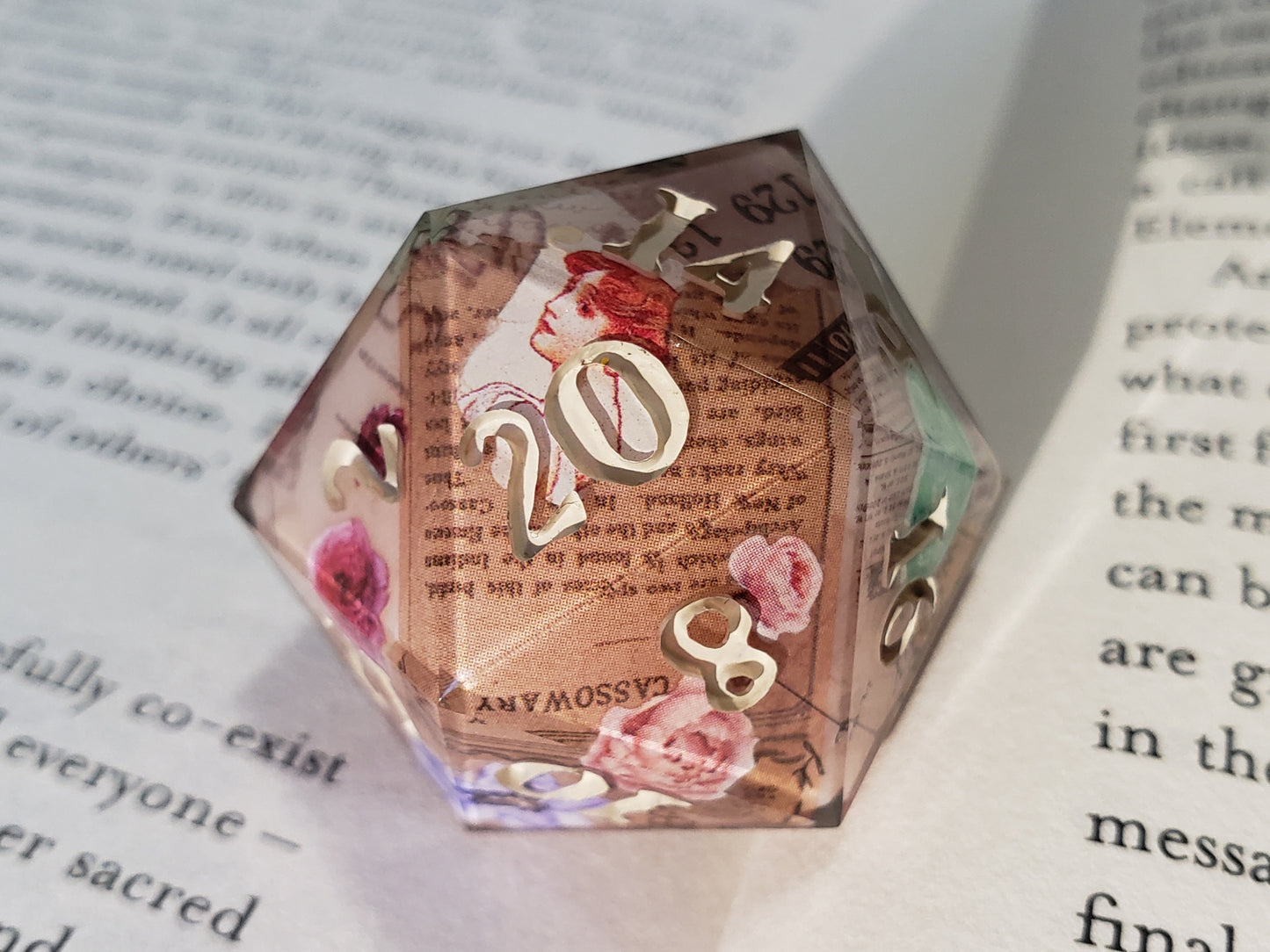 Antiquarian | Jumbo D20